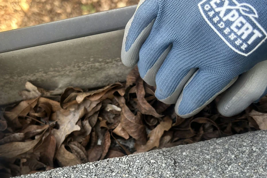 Gutter Cleaning Flat Rock